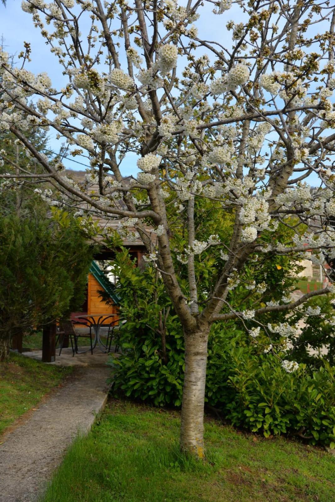 Seosko Domacinstvo Starevina