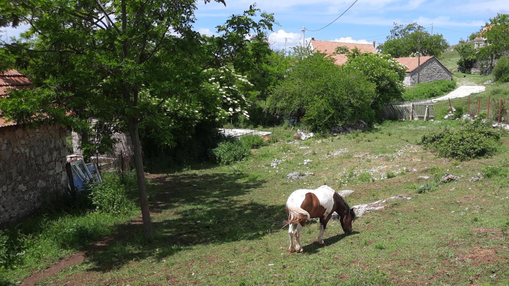 Seosko Domacinstvo Starevina *